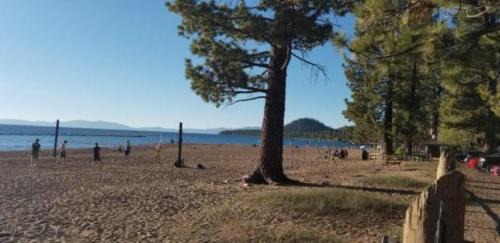Lakeside Park Cabin | Gondola Lodge with 5-dollar Beach Voucher