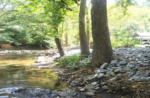 Pigeon Forge Cabin | Gone Fishin Pigeon Forge Cabin, Hot Tub, Fire Pit, Creek View, Easy Access