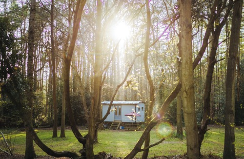 Melton Constable Cottage | Goosewing Hut-QU7072
