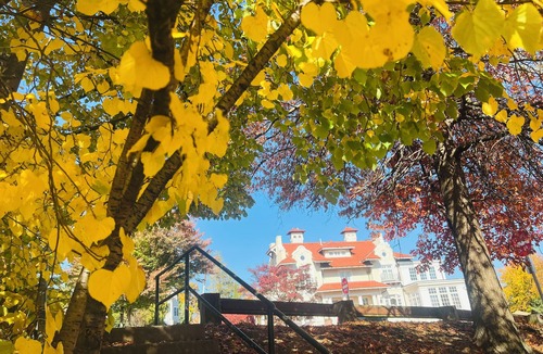 Chestnut Hill House | Gorgeous 5 bed Historic Boston Home