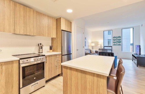 Fenway–Kenmore Apartment | Gorgeous Apt with Kitchen and Lounge