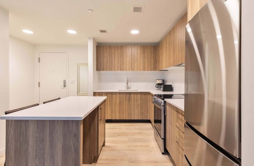 Fenway–Kenmore Apartment | Gorgeous Apt with Kitchen and Lounge