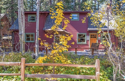 Tahoe Pines House | Gorgeous Knotty Pine Home on Westshore. Walk to Beach/Pier Access