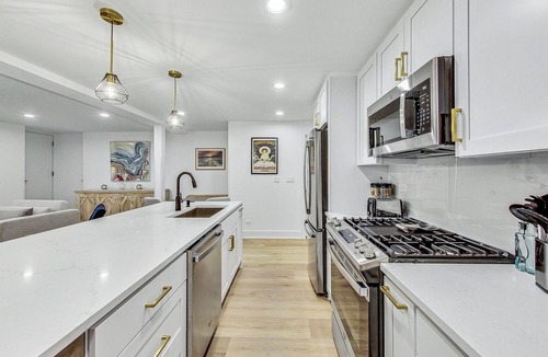Lincoln Park Condo | Gorgeous Lincoln Park apartment with 4 bed, 2.5 b, luxurious gourmet kitchen.