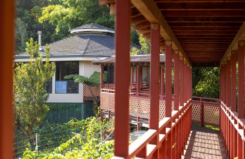 Honokaa House | Gorgeous Octagon - surrounded by forrest and mini cows!