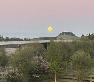 Waipukurau House | Gorgeous private tiny home