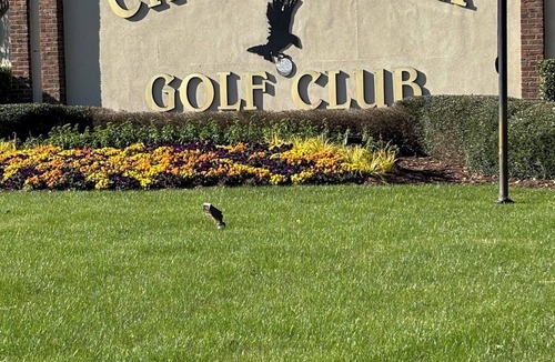 Calabash Condo | Gorgeous Quiet 2 Bedroom Condo on Golf Course