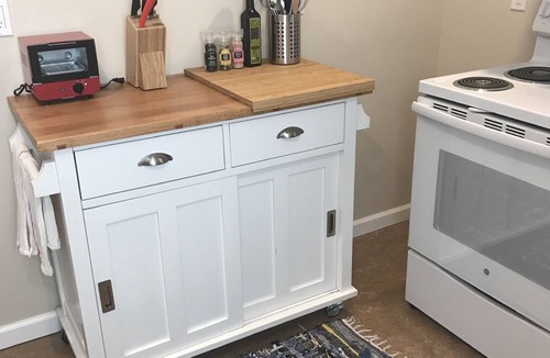 Victory Heights Apartment | Gorgeous Retreat eco-friendly NE Seattle!