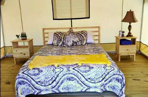 Coldspring House | Gorgeous Safari Tent Perfect for an Eco Glamping Getaway in Coldspring, Texas
