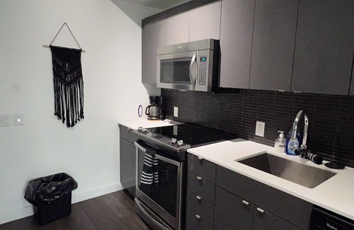 Downtown Winnipeg Apartment | Gorgeous two bed across from jets arena