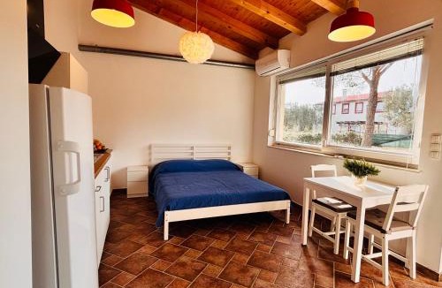 Verunic Apartment | Gorgonia Apartments & Suites