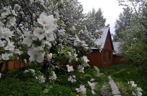 Prislon House | Gostevoi dom na Volge