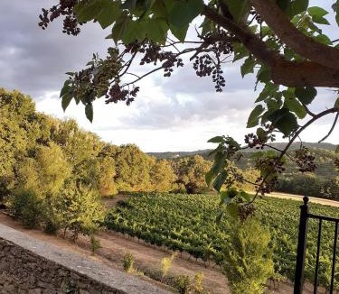 Saint-Polycarpe House | Grès Vaillant