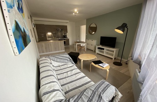 Fontaine Lestang-Bagatelle-Papus-Tabar-Bordelongue Apartment | Graceful apartment in Toulouse