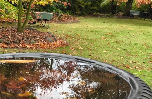 Olinda House | Gracehill Accommodation