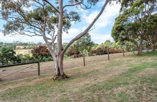 Main Ridge Apartment | Gracie's Lane Villa 2