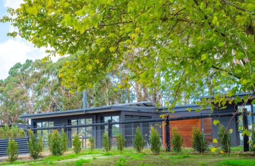 Main Ridge Apartment | Gracie's Lane Villa 2