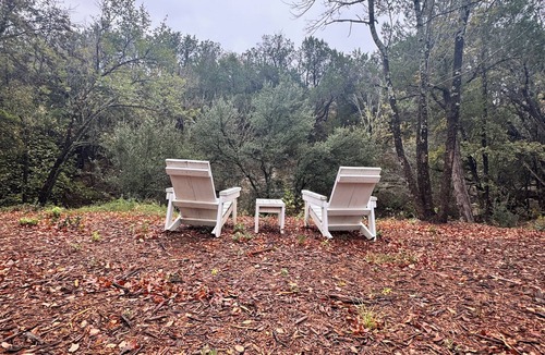 Granbury Cabin | Granbury Luxury Cabin/Sleeps 14/Brazos River/30 acres
