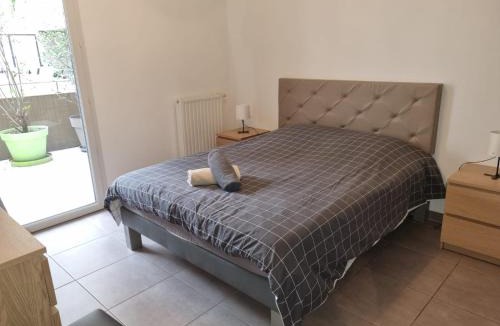 Castelnau-le-Lez Apartment | Grand appartement avec garage et terrasse