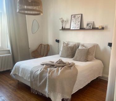 Tourcoing Apartment | Grand appartement entier en hyper centre a 10 minutes de lille, métro a 50m et la gare de Tourcoing et à 900m et parking a proximité