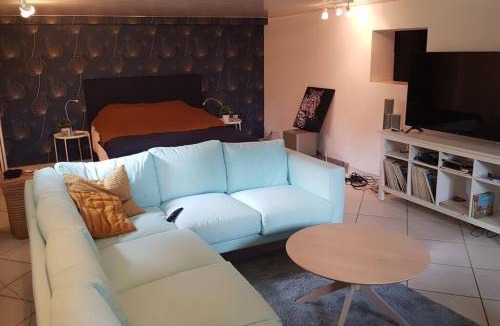 Castelnau-le-Lez Apartment | grand Appartement climatisé avec terrasse et parking