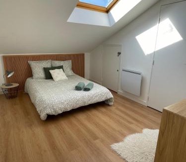 Poitiers Apartment | Grand Appartement Hypercentre avec Terrasse et Parking