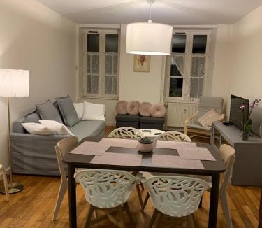 Arbois Apartment | Grand appartement lumineux tout confort en plein coeur d'Arbois