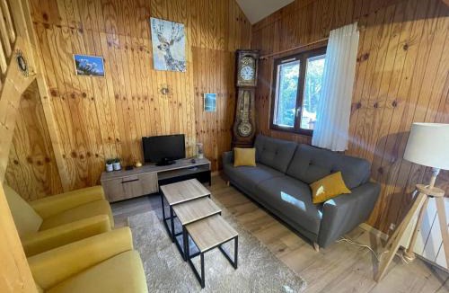 Barcelonnette Ski Chalet | Grand chalet à Barcelonnette, j'usqu'à 8 personnes - FR-1-165A-121