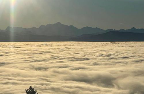 Saint-Cergue Villa | Grand Chalet d'Architecte