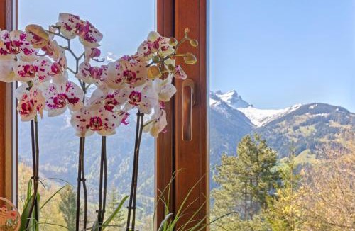Barboleusaz Ski Chalet | Grand chalet rustique à Gryon, avec vue et cheminée