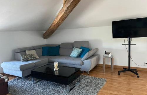 Socourt Apartment | Grand loft avec billard et Netflix