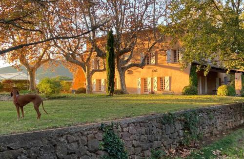 La Farlede House | Grand mas provencal