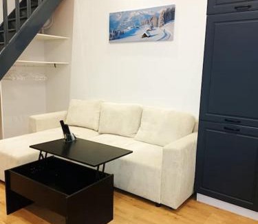 Voiron Apartment | Grand studio avec mezzanine