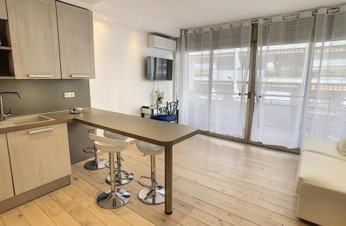 Cannes City Centre Apartment | Grand studio cabine à côté des plages NER634