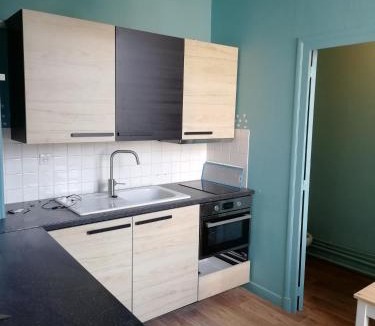 Vieux Vichy Apartment | Grand studio centre historique