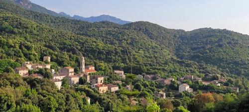 Tavera Apartment | Grand studio classé 3 etoiles