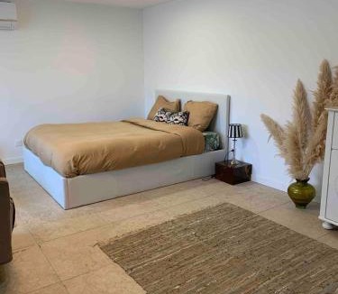 Joue-les-Tours Apartment | Grand studio cosy avec terrasse