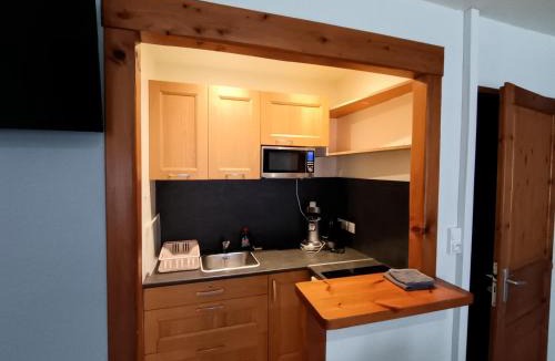 Arlos House | Grand studio en montagne