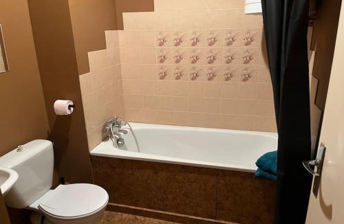 Bourbonne-les-Bains Apartment | Grand studio proche commerces