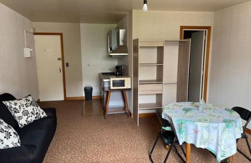 Bourbonne-les-Bains Apartment | Grand studio proche commerces