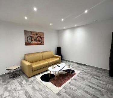 Faverolles-sur-Cher Apartment | Grand studio tout équipé