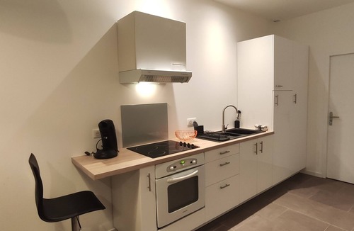 Ancenis Apartment | Grand Studio Garden View