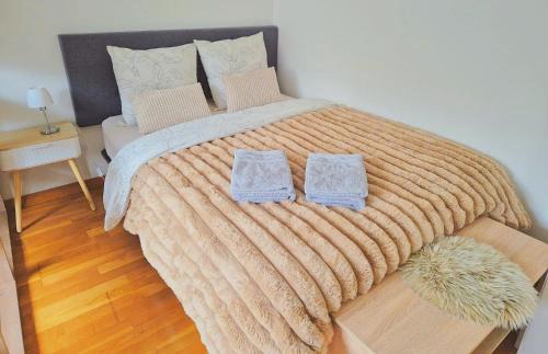 Thionville Apartment | Grand Studio Sécurisé Hypercentre Calme 3 mins de la Gare