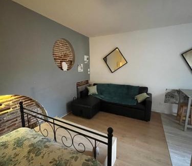 Muret Apartment | Grand STUDIO SUR COUR PRIVATIVE