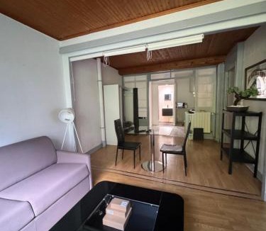 Champagnole Apartment | Grand studio tout confort sur cour