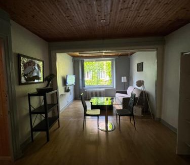 Champagnole Apartment | Grand studio tout confort sur cour