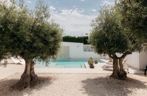 Playa de Almarda House | Grand Villa with Pool