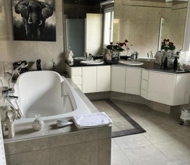 Ensisheim House | Grande maison au calme