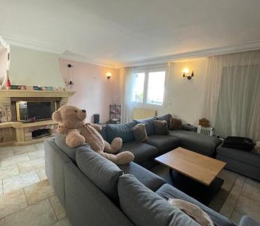 Le Blanc-Mesnil Bed & Breakfast | Grande maison avec jardin