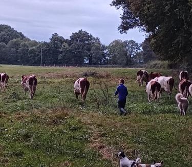 Neuville-les-Decize House | grande maison à la ferme